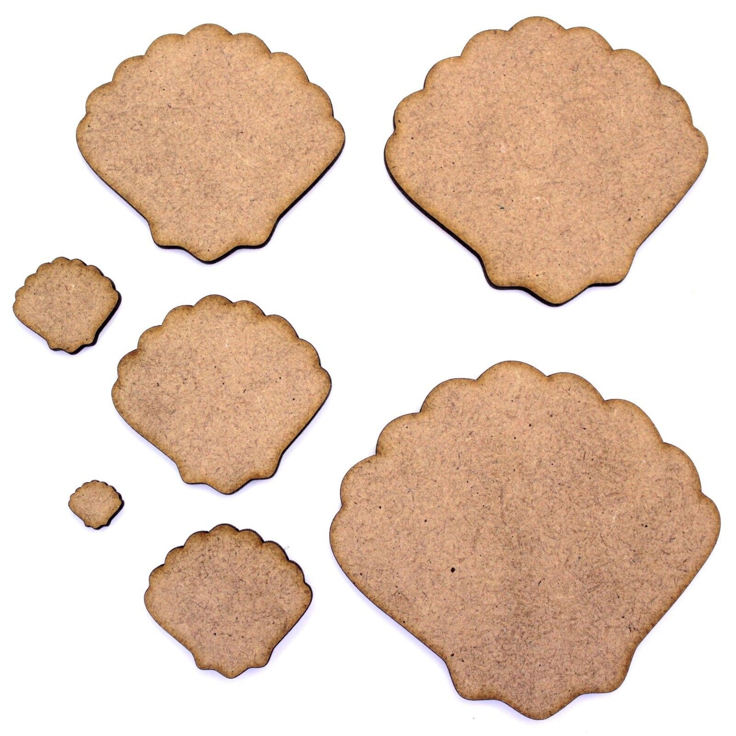 Clam Shell Craft Shape, Various Sizes, 2mm MDF Wood. Seaside, Marine, Sea