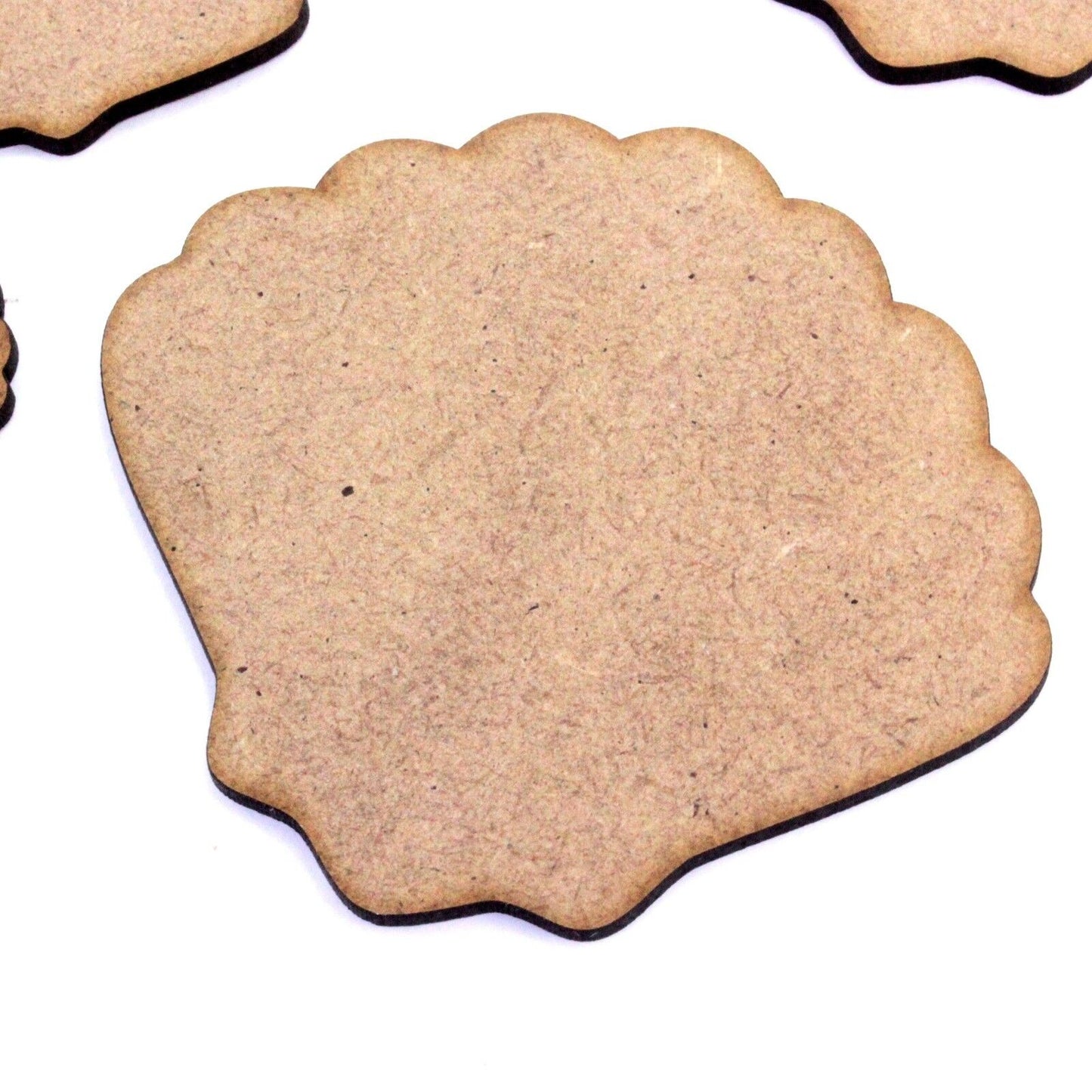 Clam Shell Craft Shape, Various Sizes, 2mm MDF Wood. Seaside, Marine, Sea