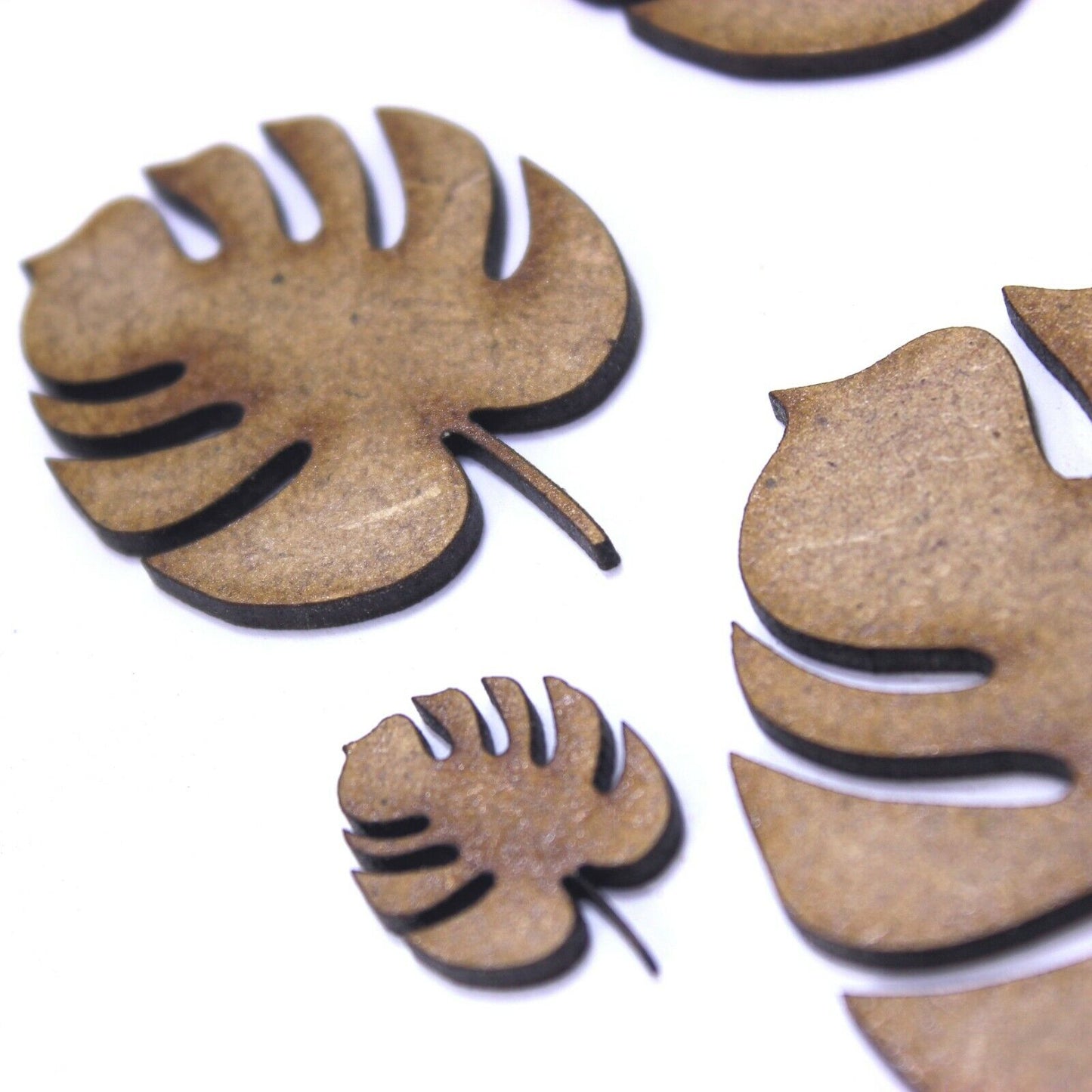 Tropical Leaf Craft Shape, Various Sizes, 2mm MDF Wood. Monstera, Rainforest