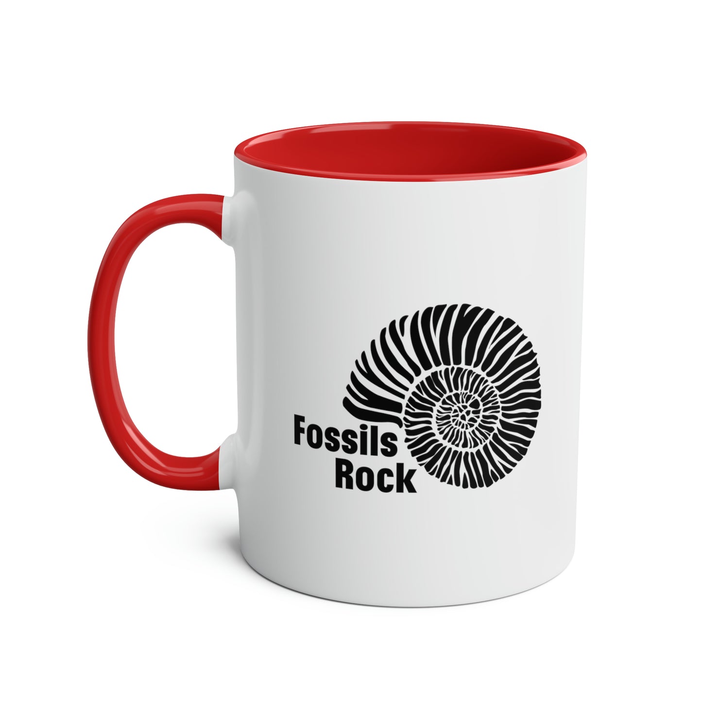 Fossils Rock - Ammonite